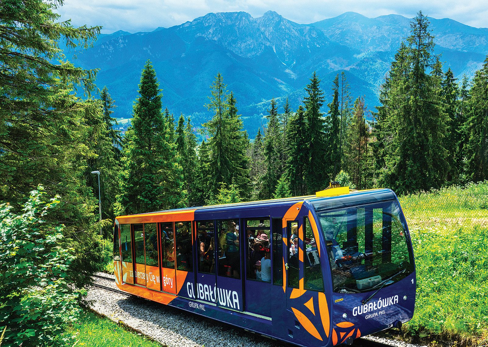 Polskie Koleje Linowe